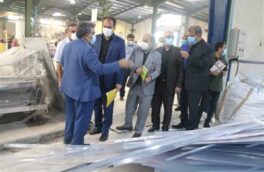 در سفر نماینده وزیر صنعت، معدن و تجارت و وزیر جهاد و کشاورزی به استان بوشهر به انجام رسید؛ بازدید از طرح های تأمین مالی شده از سوی بانک صنعت و معدن