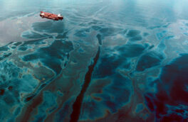 آلودگی نفتی در سه منطقه خلیج فارس/ عوارض: سرطان و بیماری‌های پوستی