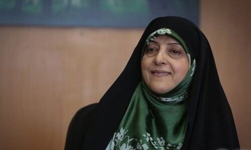 امیدوارم مجلس قانون تابعیت فرزندان زنان ایرانی را لغو نکند/ با قانون تابعیت «۱۵هزار نفر شناسنامه ایرانی گرفتند»