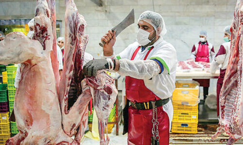 آخرین وضعیت بازار گوشت/ کاهش ۱۰۰ تا ۱۵۰ هزار تومانی گوشت در حد وعده می‌ماند؟