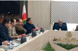 تاکید بر ارتقاء کیفیت درمان در بخش خصوصی و دولتی استان اردبیل