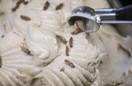 عکس| بستنی با طعم جیرجیرک؛ منوی جدید یک بستنی‌فروشی