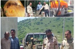 دستگیری دو نفر متخلف قطع درختان جنگلی در استان اردبیل