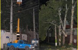 سقوط ۱۱۶ اصله درخت برروی شبکه برق، خسارت ناشی از طوفان ۲۵ مهر در گلستان