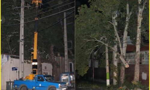 سقوط ۱۱۶ اصله درخت برروی شبکه برق، خسارت ناشی از طوفان ۲۵ مهر در گلستان