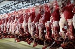 لزوم نوسازی ناوگان حمل و نقل گوشت در لرستان