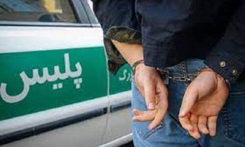 دستگیری ۷۰ سارق وسایل نقلیه در گرگان