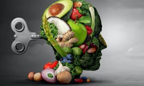 معرفی ۸ ماده غذایی برای حفظ سلامت مغز بعد از ۵۰ سالگی