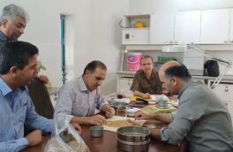 آغاز به کار مرکز خرید بذر تکثیری گندم گواهی شده و مادری شرکت خدمات حمایتی کشاورزی استان گلستان