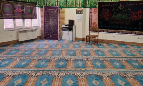 رشد ۱۰ درصدی خرید فرش سجاده ای در نمازخانه مدارس گلستان