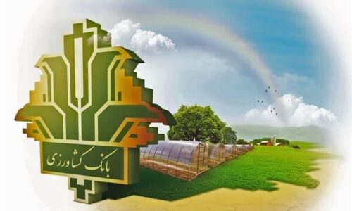 اثرگذاری بانک کشاورزی در مدیریت پایدار منابع پایه با حمایت ۴۳ هزار میلیاردی از توسعه گلخانه ها