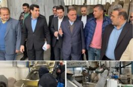 بازدید استاندار گلستان به همراه مدیران استانی  از شهرک صنعتی سرخنکلاته