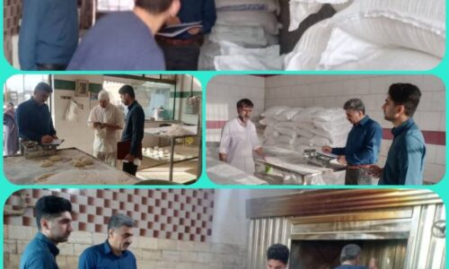 بازدید از واحد خبازی شهرستان علی آباد کتول
