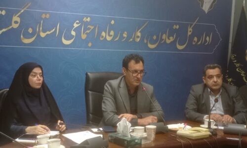 ثبت ۷۸ شرکت تعاونی در سال ۱۴۰۳؛ گامی مؤثر در راستای تحقق تولید و مشارکت مردم