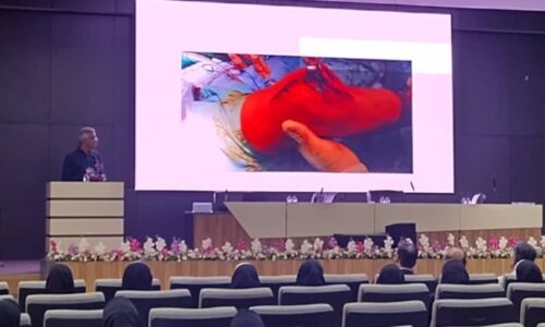 شیراز میزبان سمینار ارتوپدی با حضور اساتید پزشکی ورزشی