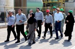 سه ماه تلاش بی‌وقفه؛ نجات گور ایرانی در دل خشکسالی