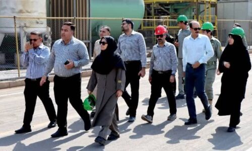 سه ماه تلاش بی‌وقفه؛ نجات گور ایرانی در دل خشکسالی