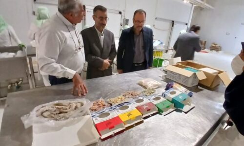 بازدید بازرس کل  گلستان از شرکت های تولیدی شیلاتی آبزی فرآور صدر گلستان و شیل آبزی گلستان