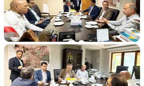 حضور سرمایه‌گذاران برای تأمین برق منطقه آزاد اینچه‌برون