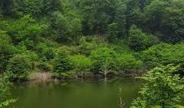 پدافند غیرعامل در منابع طبیعی؛ دفاع هوشمندانه برای حفاظت از سرمایه‌های ملی