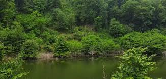 پدافند غیرعامل در منابع طبیعی؛ دفاع هوشمندانه برای حفاظت از سرمایه‌های ملی