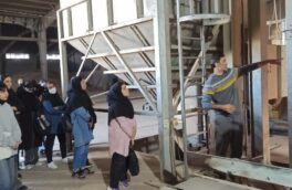 کارخانه بوجاری بذر شرکت خدمات حمایتی کشاورزی گلستان یکی از مدرن ترین  کارخانه بوجاری بذر کشور است