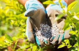 تأمین بیش از ۴۰ هزار تن انواع کودهای یارانه‌ای