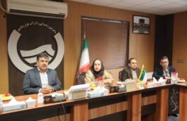 حوزه خدمات مشترکین؛ موتور محرکه کسب درآمد و رونق اقتصادی