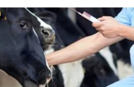 واکسیناسیون و رعایت اصول بهداشتی تنها راه کنترل بیماری